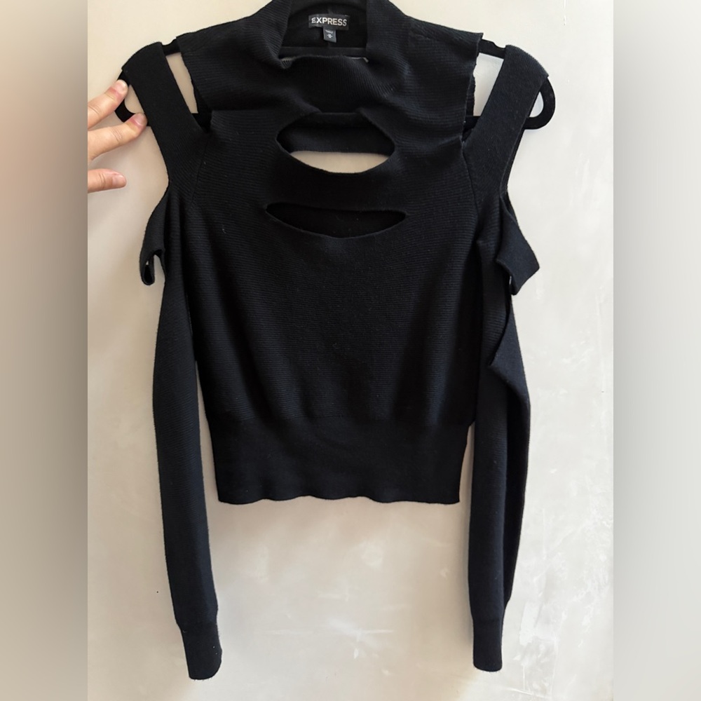 Express Sweater